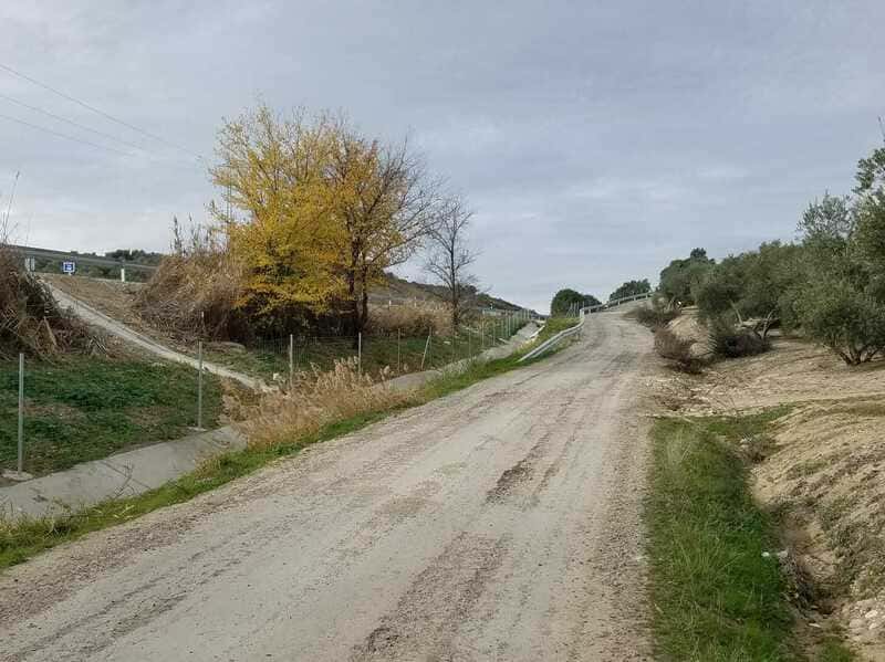 Agricultores se quejan de falta de accesos a Úbeda tras la terminación de la A-32