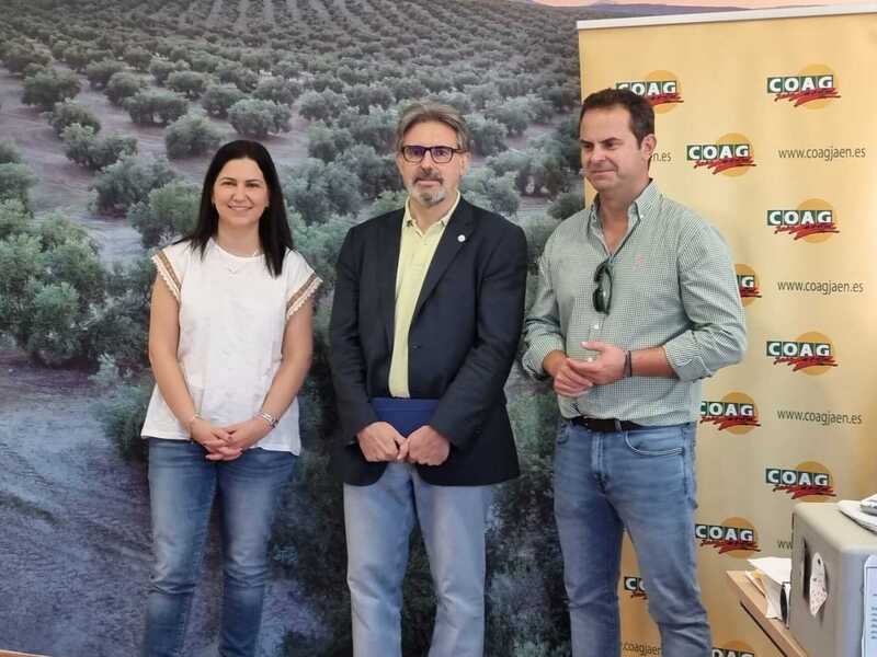 COAG considera básico para el sector oleícola de la provincia un grado de ingeniería agronómica en Jaén